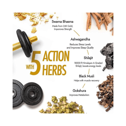 Kapiva ayurvedic shilajit resin supplement