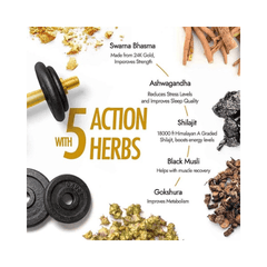 Kapiva ayurvedic shilajit resin supplement